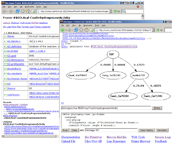The BioBike Lisp
listener (front) and frame browser displaying a Gene Ontology concept
(occluded)