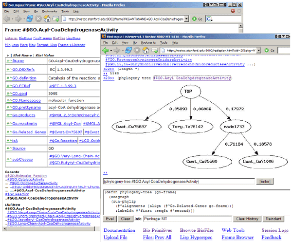 The BioBike Lisp
listener (front) and frame browser displaying a Gene Ontology concept
(occluded)